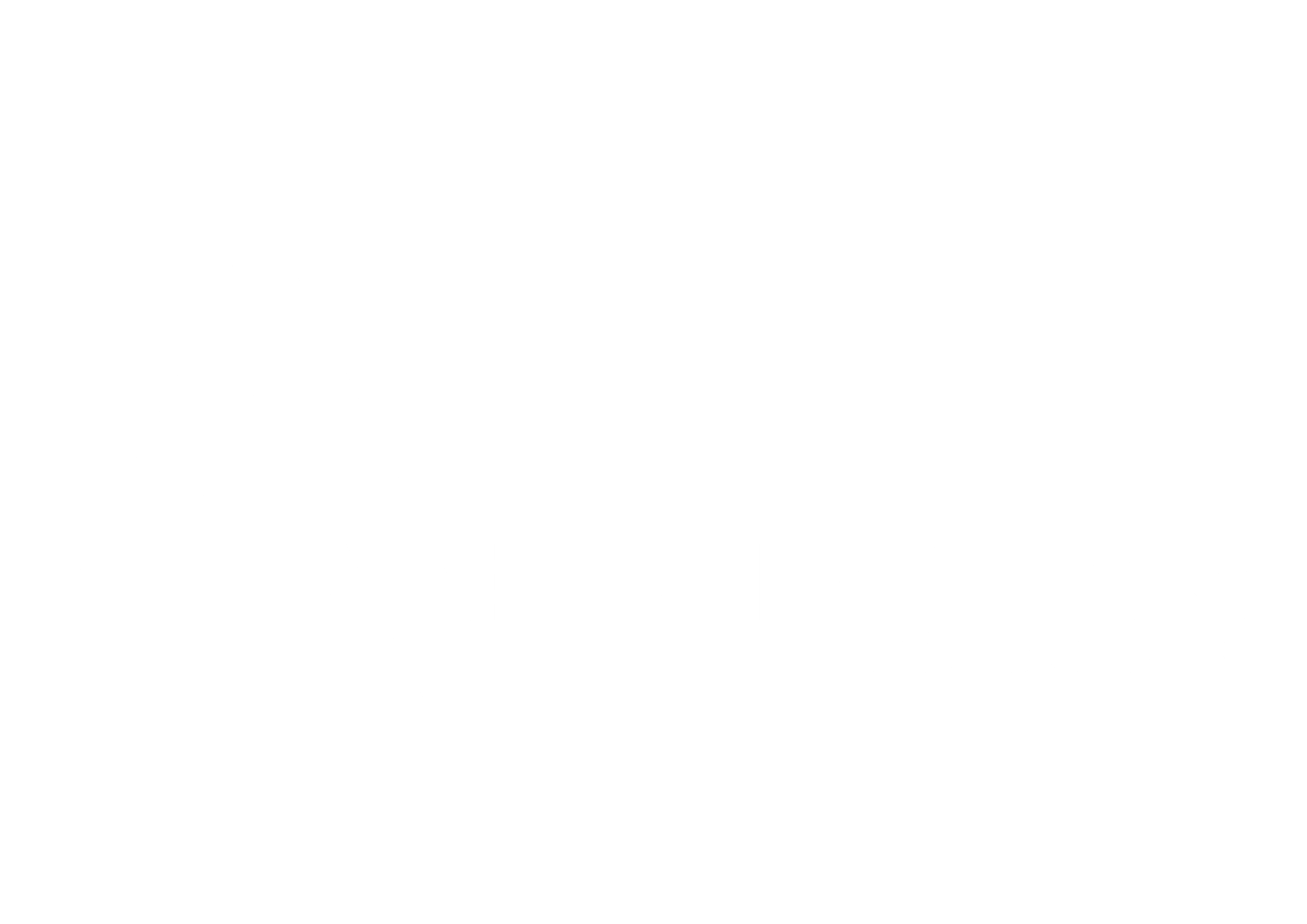 Aestimator Logo-neg