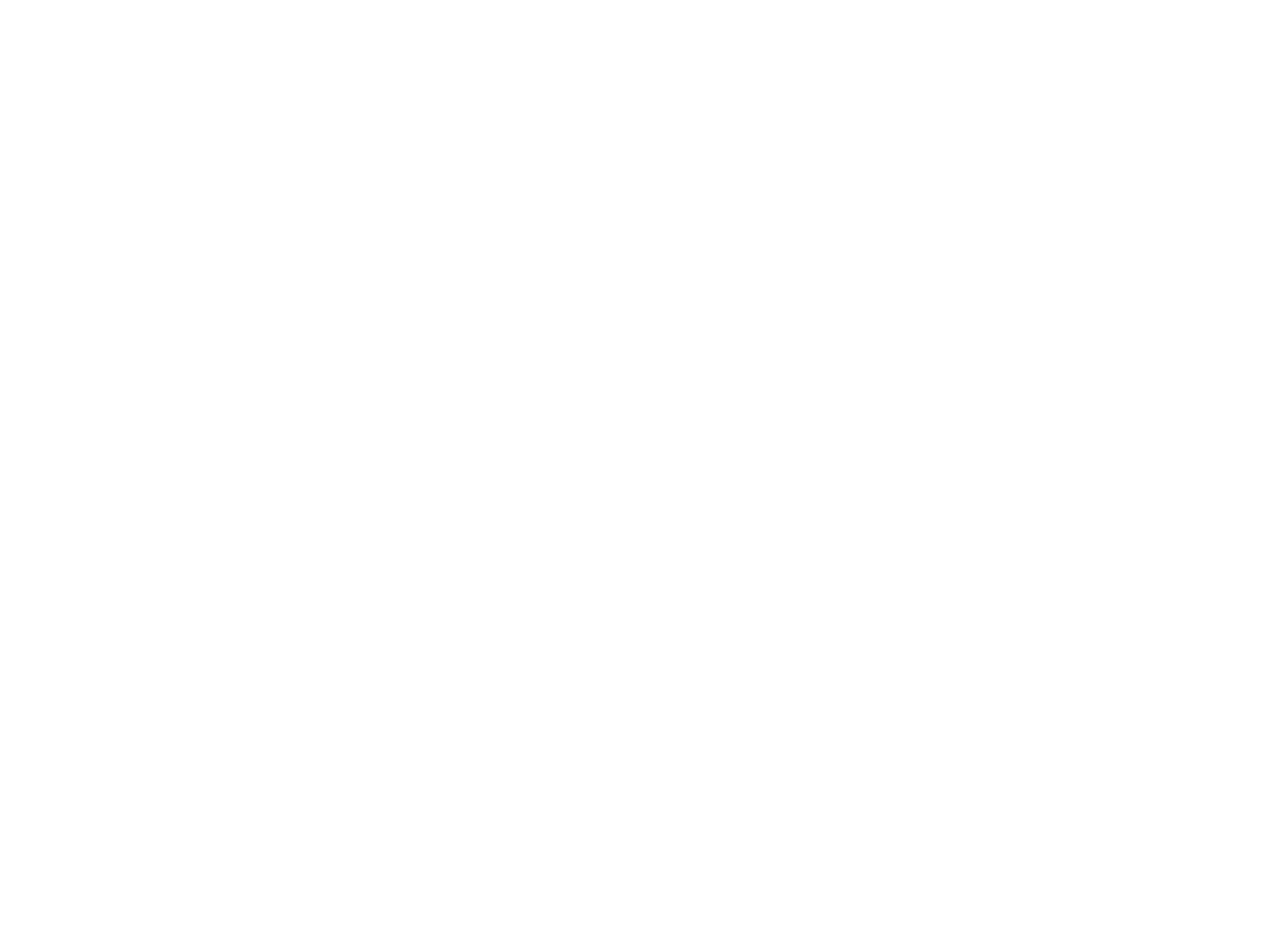 The-Finisher-Logo-4c-final-weiss